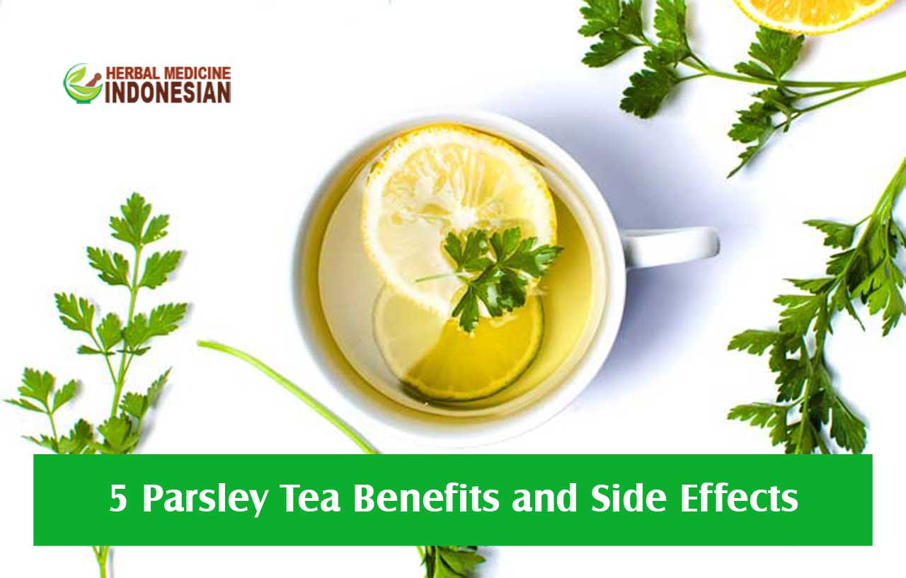 Parsley Tea: Benefits, Side Effects, and How to Enjoy It Safely