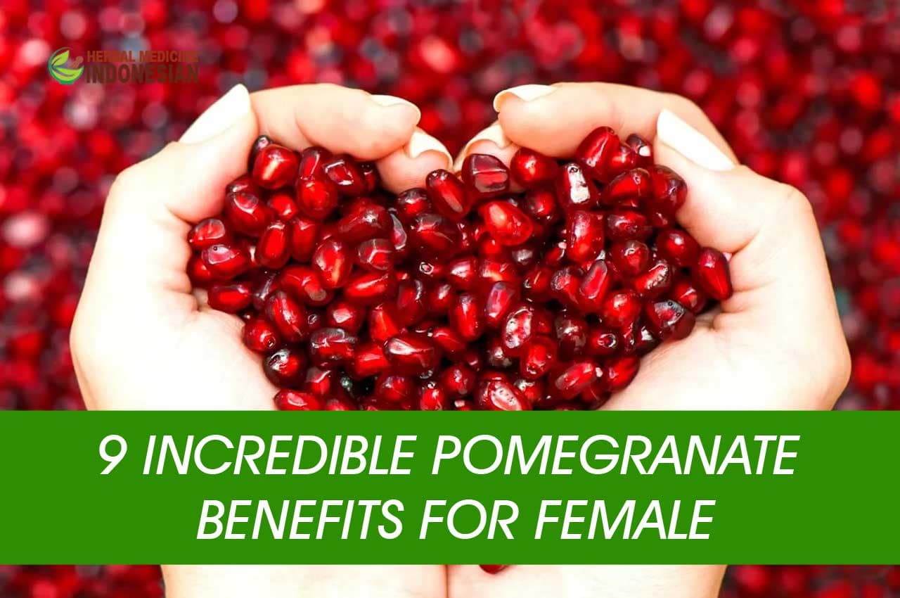 Benefits of Pomegranate for Women | PT. Ben Sehat Sejahtera