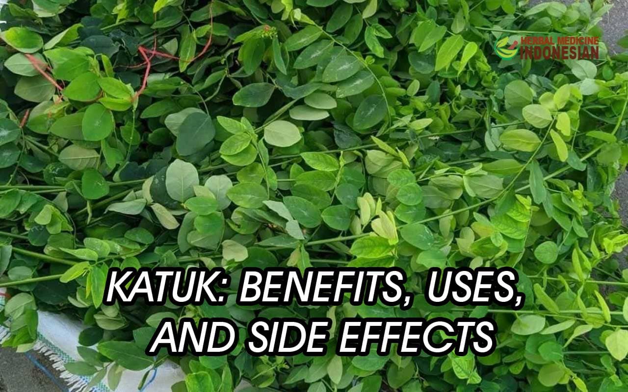 Katuk: Benefits, Uses, and Side Effects