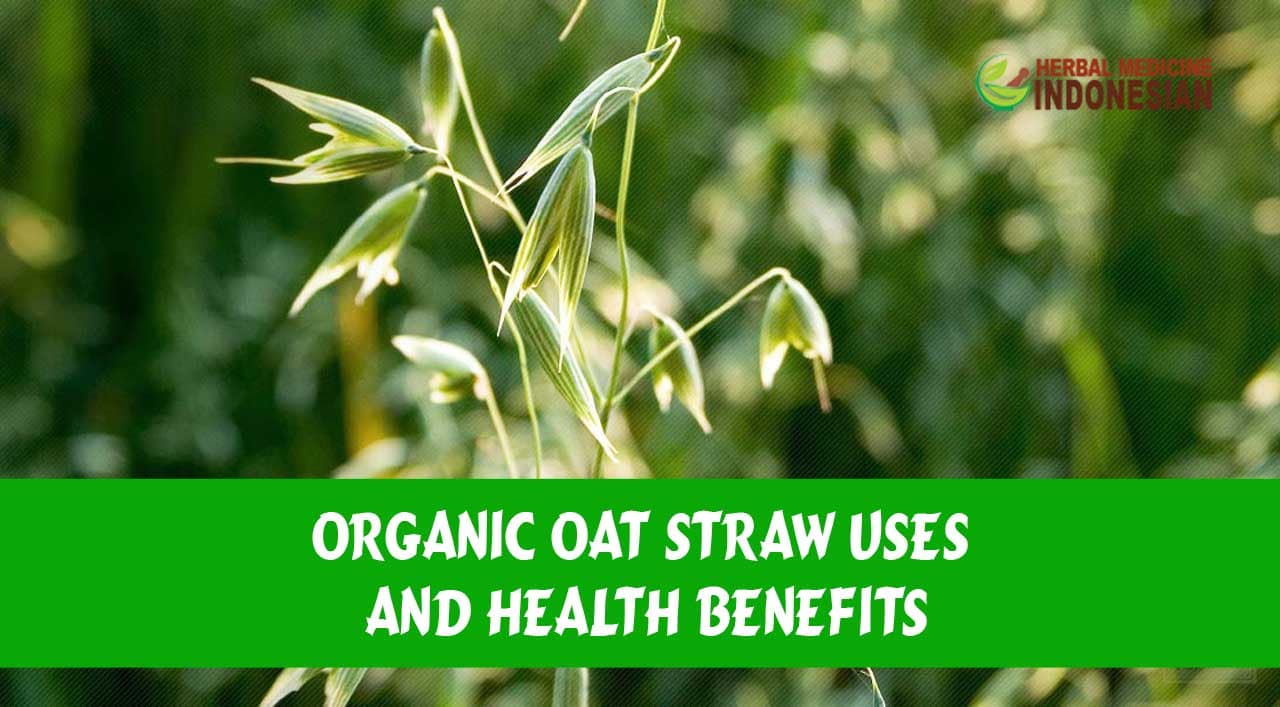 Organic Oat Straw Uses and Health Benefits