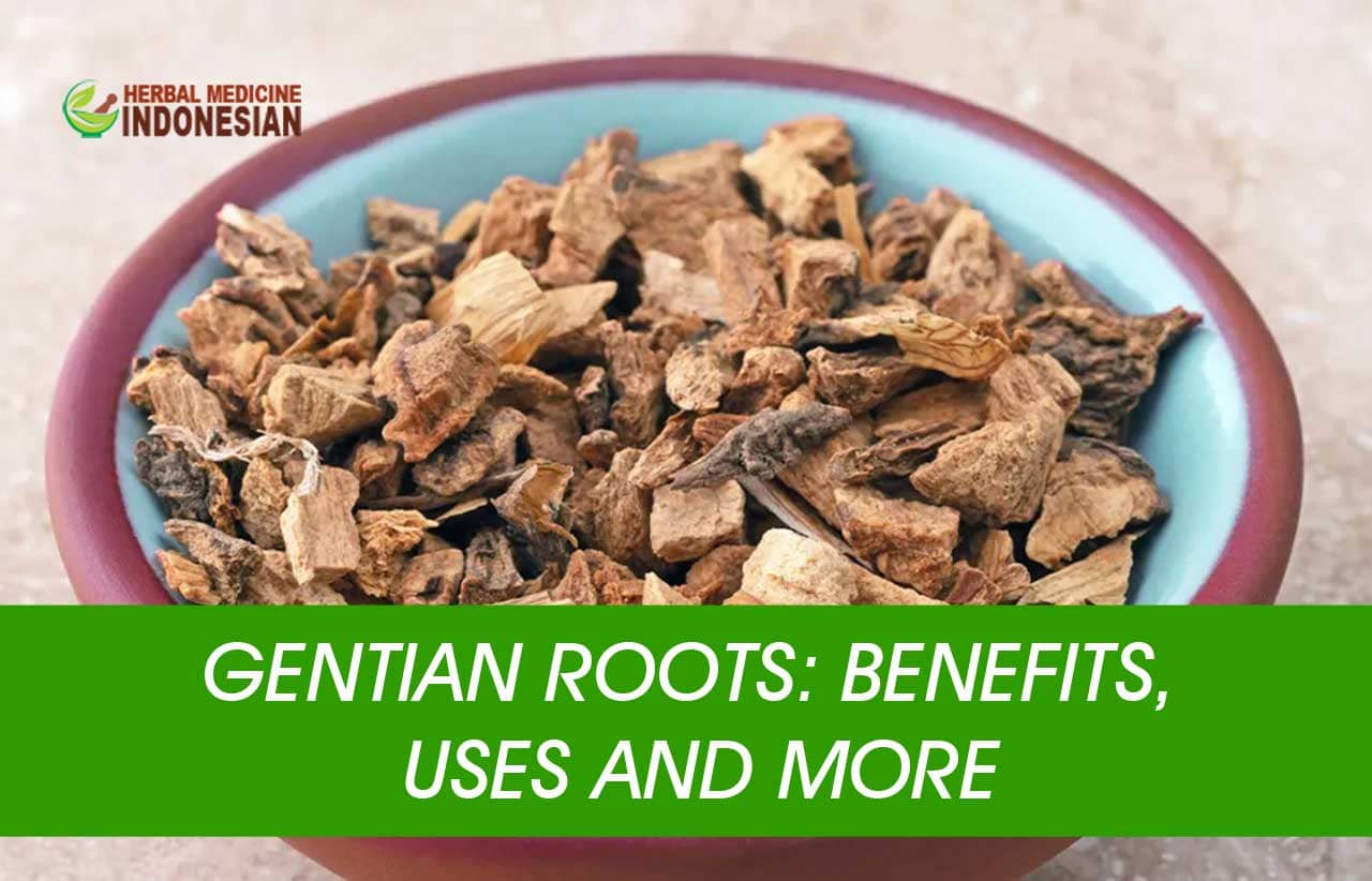 Burdock Root Health Benefits, Uses and More