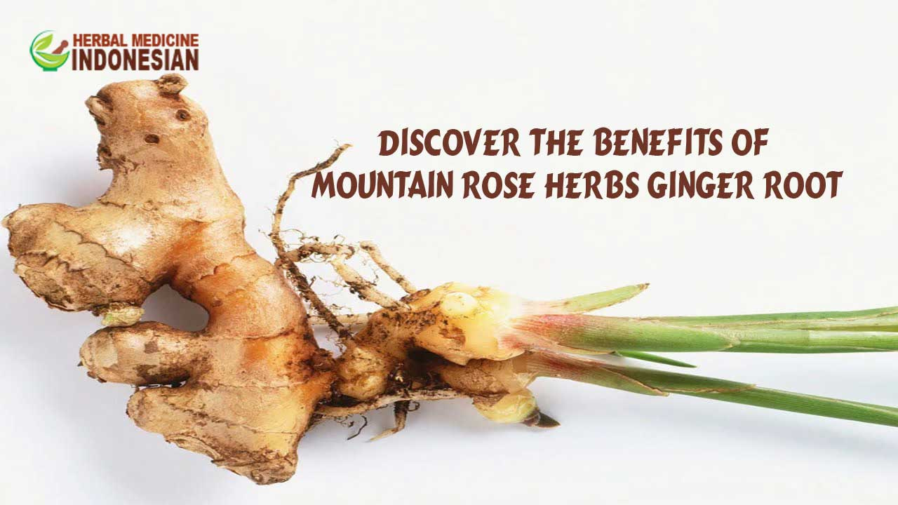 4 Benefits of Mountain Rose Herbs Ginger Root