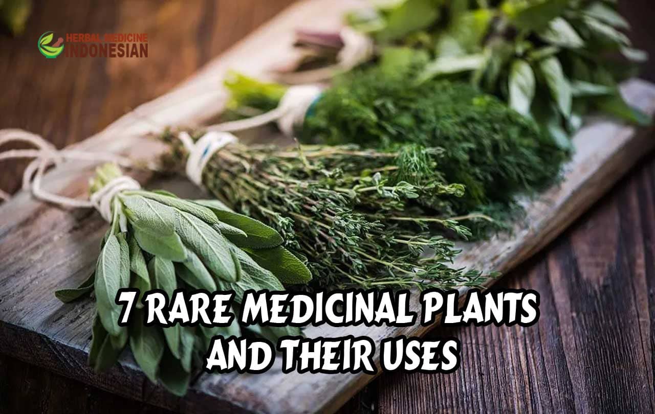 7 Rare Medicinal Plants and Their Uses