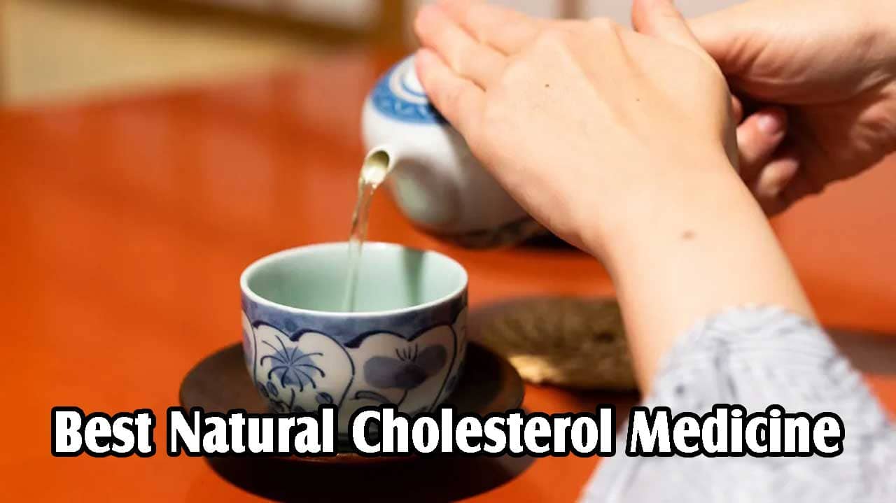 Best Natural Cholesterol Medicine