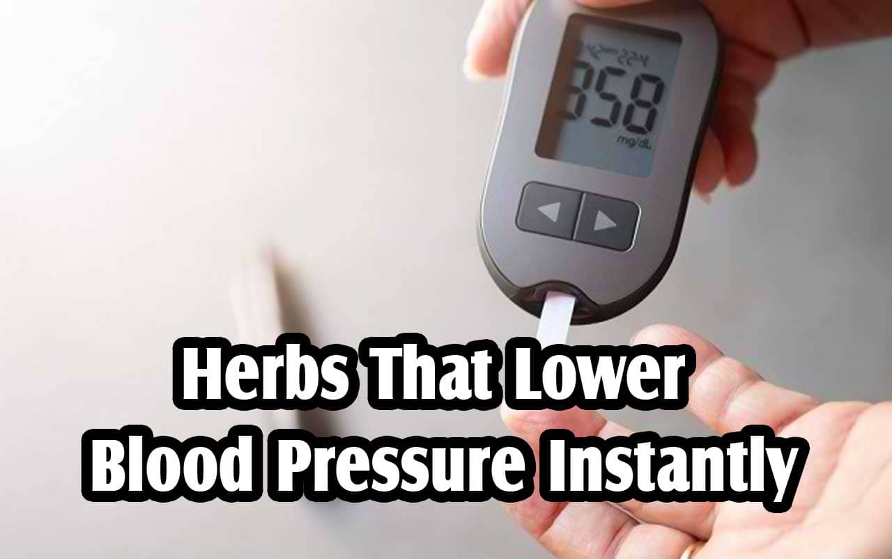 Herbs to Lower Blood Pressure Instantly