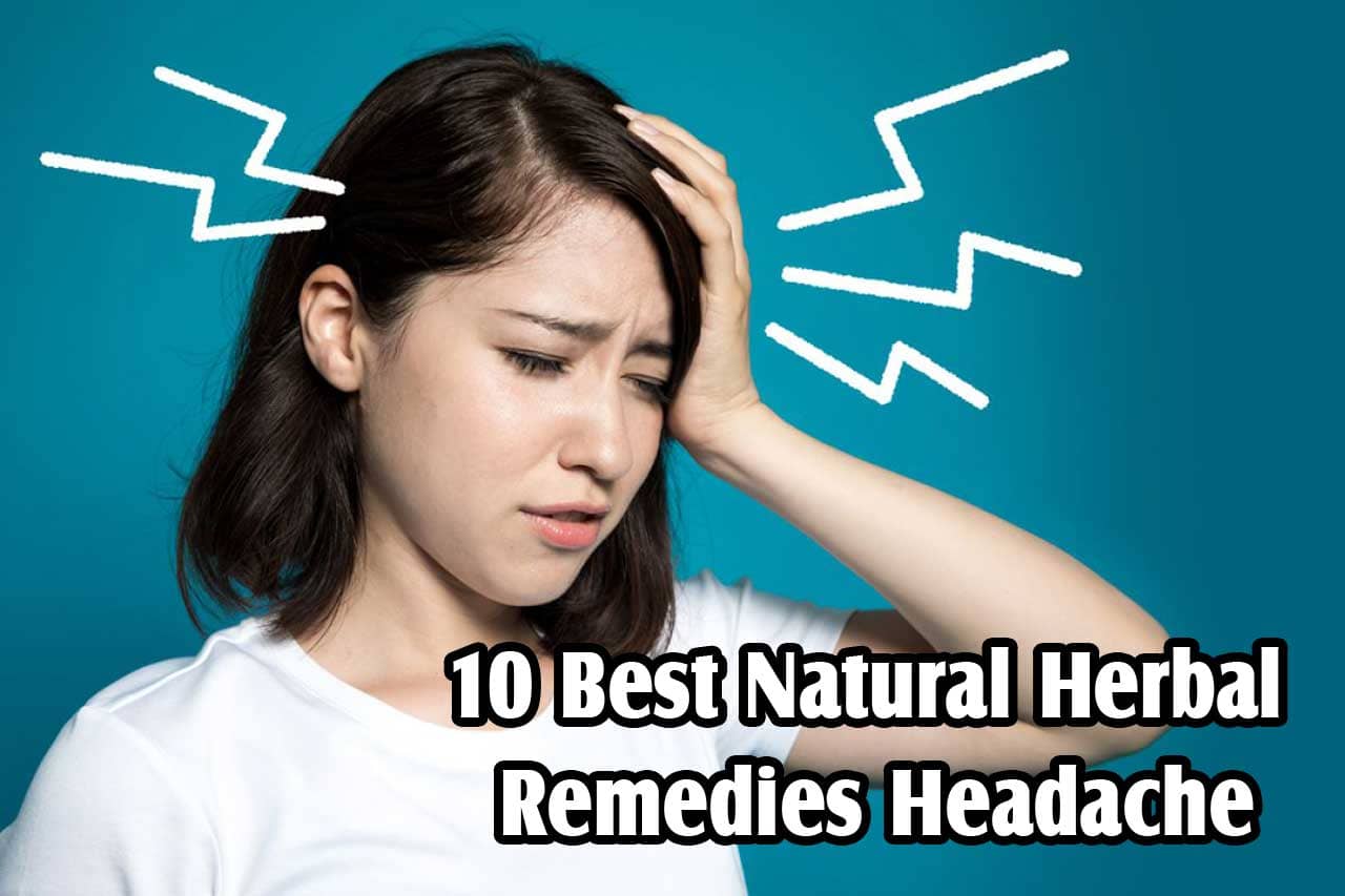 10 Best Natural Herbal Remedies Headache