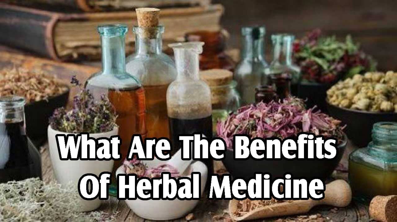 What Are The Benefits Of Herbal Medicine?