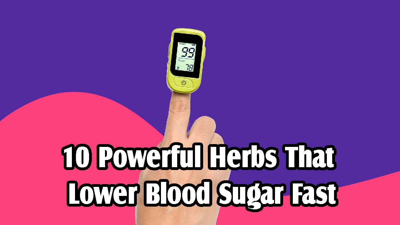 10 Powerful Herbs That Lower Blood Sugar Fast